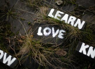 Essential Guide: What Parents Should Know About Education in Atherton