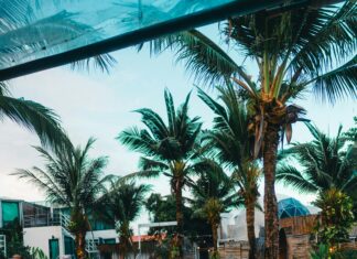 Discover the Best Parks and Green Spaces in Atherton: A Nature Lover’s Paradise