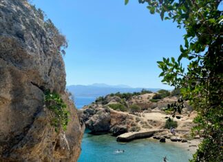 Dive into Paradise: Discover the Best Swimming Spots in Atherton