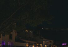 Discover the Best Family-Friendly Restaurants and Pubs in Atherton for Memorable Dining Experiences