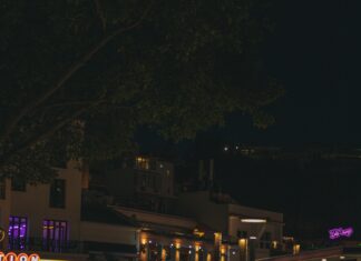 Discover the Best Family-Friendly Restaurants and Pubs in Atherton for Memorable Dining Experiences