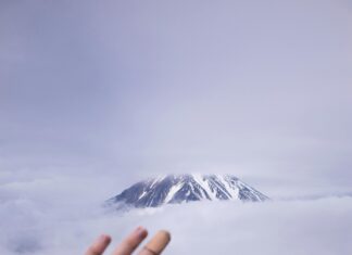 Uncover Atherton’s Hidden Gems: Top Free Activities Await