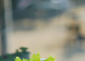 Delicious Vegan and Vegetarian Food Options in Atherton: Discover Healthy Eats Near You